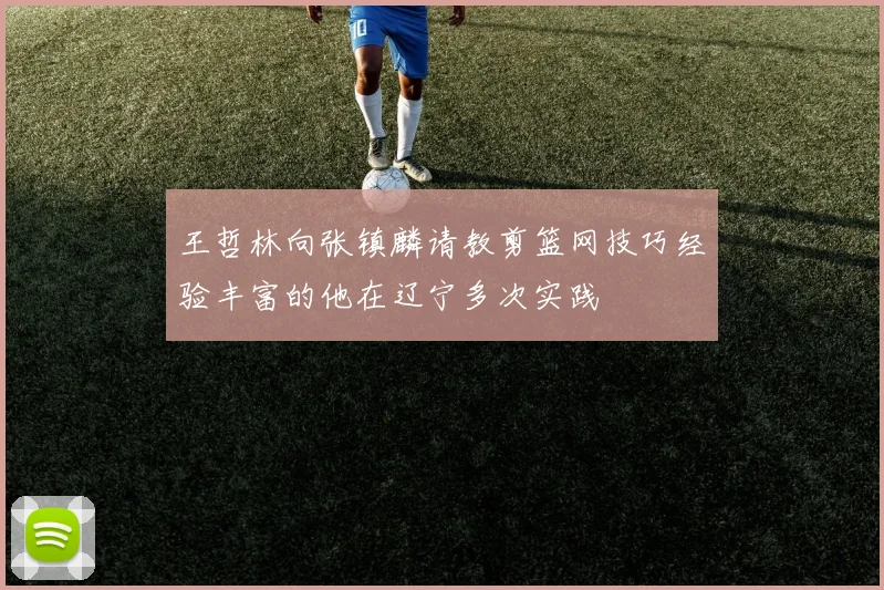 王哲林向张镇麟请教剪篮网技巧经验丰富的他在辽宁多次实践